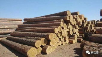 美国房市不景气让加拿大木材公司停产