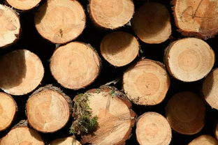 国内林业产品等主要材料有所涨价